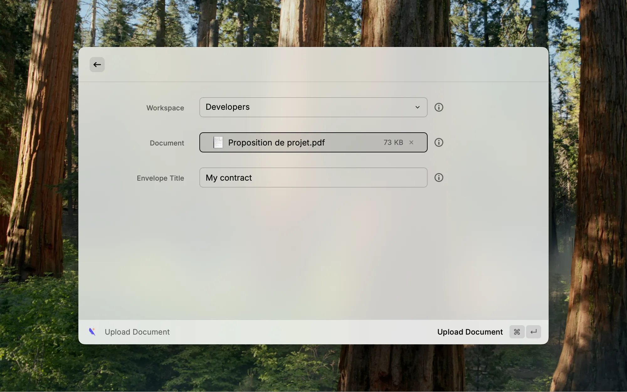 Raycast interface screenshot